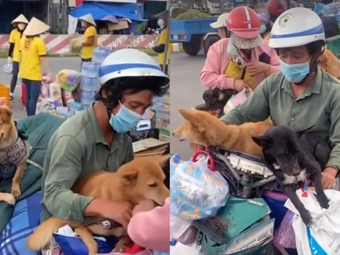 Vụ tiêu hủy đàn chó khi chủ nhiễm Covid-19: 'Anh em xã tiêu hủy đàn chó là gấp, có sai sót... mong bà con thông cảm'
