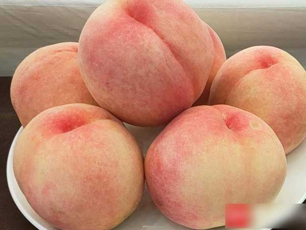 Hàng Tàu về chợ: Cua quý tộc giảm giá, đào tuyết đắt khách