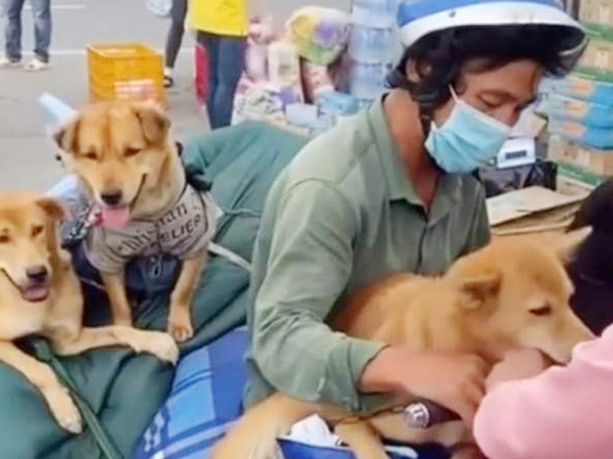 Vụ tiêu hủy đàn chó, mèo: Con ruột nữ trạm trưởng cũng xin nghỉ việc do không chịu nổi áp lực từ cộng đồng mạng