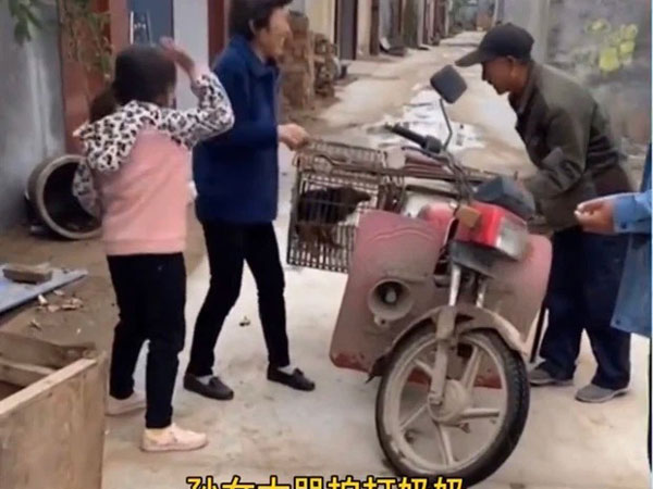 Cô bé khóc lóc vật vã, lăn ra đất ăn vạ vì bà ngoại bán chó cưng nuôi 2 năm, cư dân mạng: 'Một trời bất lực và đau thương, người lớn sao không thể tôn trọng trẻ con thế?!!'