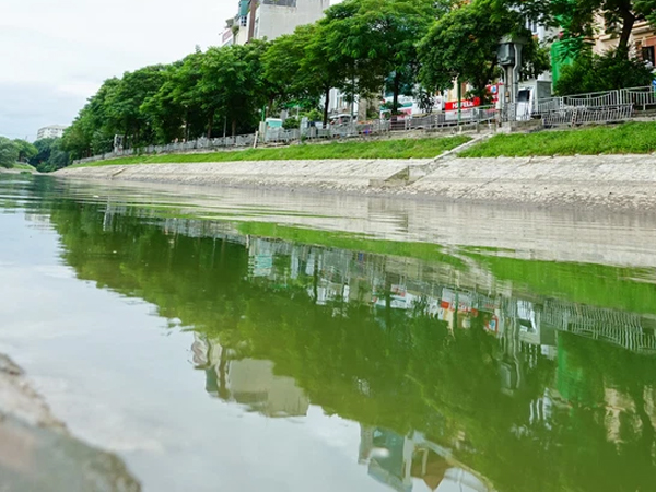 Cận cảnh dòng nước xanh ngắt hiếm thấy tại sông Tô Lịch, cá bơi 'nhộn nhịp' hàng đàn