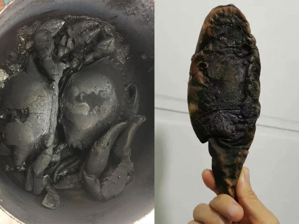 Vì không đáp ứng 'yêu cầu giữa đêm' của chồng, vợ lâm vào cơn ác mộng khó tả, đến khi nhìn thứ kinh hoàng trên đĩa mới choáng váng