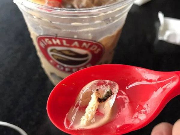 Khách tìm thấy sinh vật lạ trong cốc nước của một thương hiệu nổi tiếng, dân tình tranh cãi ỏm tỏi xem trách nhiệm thuộc về ai?