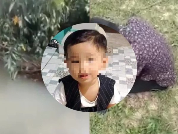 Vụ tìm thấy thi thể bé trai 2 tuổi ở Bình Dương: Đội tìm kiếm từng 20 lần rà soát đoạn suối nơi phát hiện cháu bé