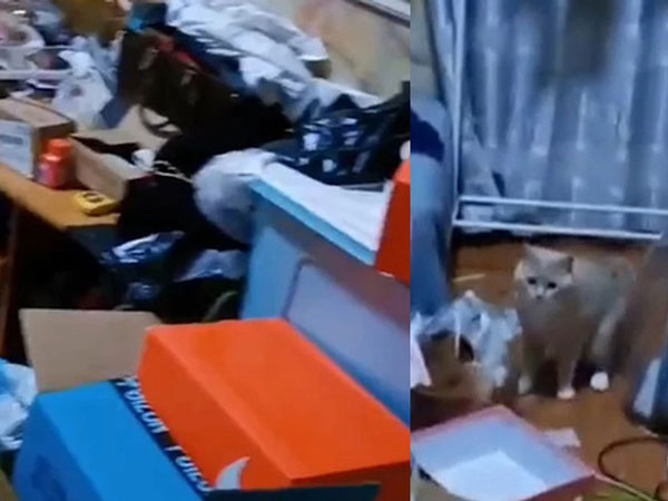 Chủ nhà phát ói khi chứng kiến 'hiện trường' khách bùng trọ để lại: Đâu đâu cũng là phân động vật cùng rác rưởi, vòi nước chảy lênh láng góp thêm phần 'mùi mẫn'