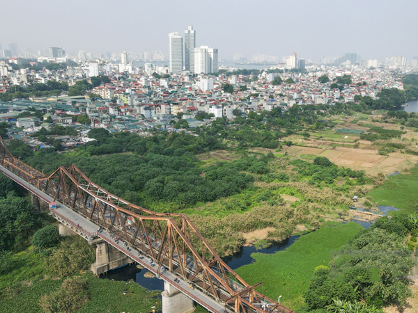 Hà Nội: Mê mẩn ngắm đồng cỏ lau ngay dưới chân cầu Long Biên lịch sử