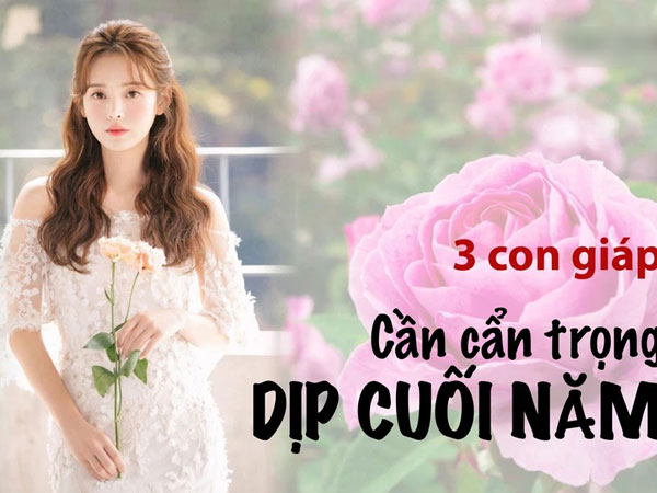 Năm Tân Sửu, 3 con giáp này có hạn Thái tuế cần cẩn trọng dịp cuối năm để tránh tiền mất tật mang