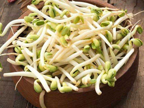 Giá đỗ rất bổ dưỡng nhưng cần lưu ý những điều sau để tránh nguy cơ trúng độc, thậm chí mắc ung thư