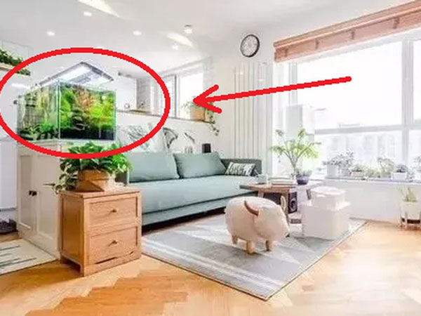 Nhà nhỏ mấy cũng nên sắp đặt 4 món đồ này để hút lộc vào nhà, làm ăn thuận lợi