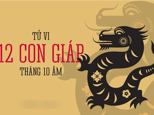Tổng quan tử vi 12 con giáp tháng 10 âm: Đa số là tiền tài rực rỡ, có 2 con giáp con có cát tinh soi đường