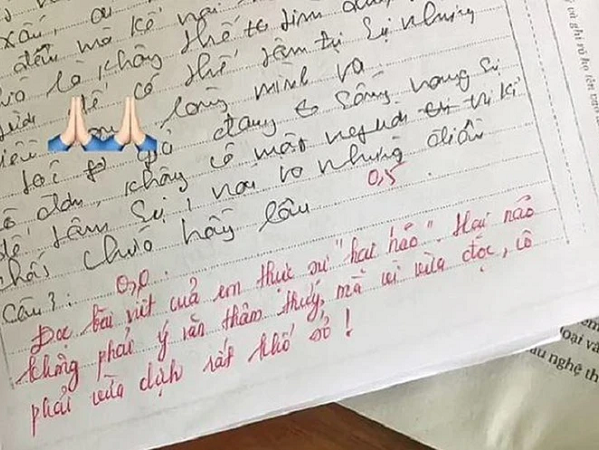 Nam sinh viết cả bài Văn dài nhưng chỉ được 0,5 điểm, đọc đến lời phê của giáo viên mới thấy điều hợp lý