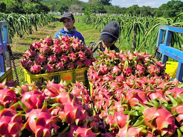 Trung Quốc dựng nhiều rào cản, bạn hàng tỷ dân ngày càng khó tính