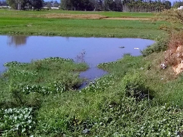 Thanh Hóa: Phát hiện thi thể 3 học sinh lớp 8 dưới ao nước gần nhà