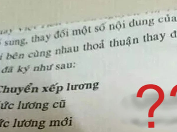 Sếp thông báo tăng lương, cô gái chưa kịp mừng đã liền khóc ngất khi nhìn vào dòng chữ này