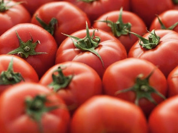 Loại cà chua mới 500 ngàn/kg, ăn vào giảm huyết áp
