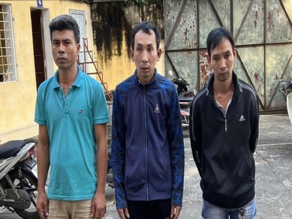 Phát hiện 'ăn quả lừa' lan var, nhóm đối tượng cay cú cưỡng đoạt tài sản của chủ cây