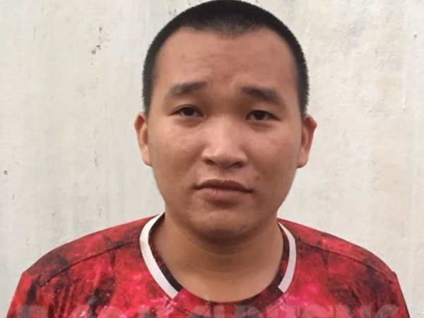 Được giao chăm nom lợn, thanh niên thẳng tay 'xử lý' gần 1.000 con và 1.000 bao cám