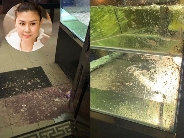 Đã viết tâm thư làm rõ chuyện nợ nần với chủ nợ của chồng cũ, nhà hàng của diễn viên Kim Thư vẫn bị tạt mắm tôm sau hàng loạt lời đe dọa