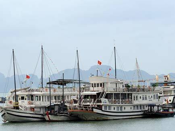 Thời gian cạn dần, càng chần chừ càng mất cơ hội