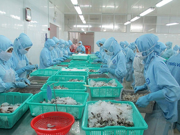 Tín hiệu khả quan từ xuất khẩu và giá bán, nhóm thủy sản kỳ vọng hồi phục