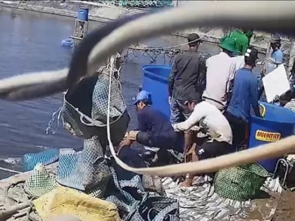 Nhóm 'Siêu trộm tôm' chưa thi hành án cho người bị hại