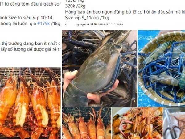Tôm càng xanh cỡ đại rẻ khó tin, khách mua ngán ngẩm lắc đầu