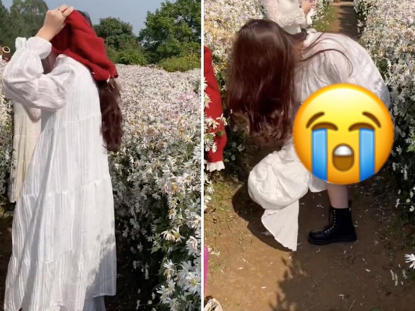 Hotgirl lột áo thay đồ giữa vườn cúc họa mi, hành động sau đó khiến dân tình 'ném đá' dữ dội