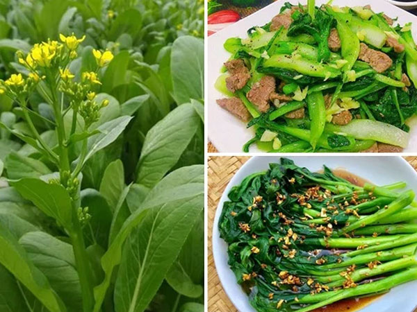 Muốn sống thọ, trẻ lâu: Từ tuổi 40 chị em hãy ăn 5 loại rau giúp thải độc mỗi ngày