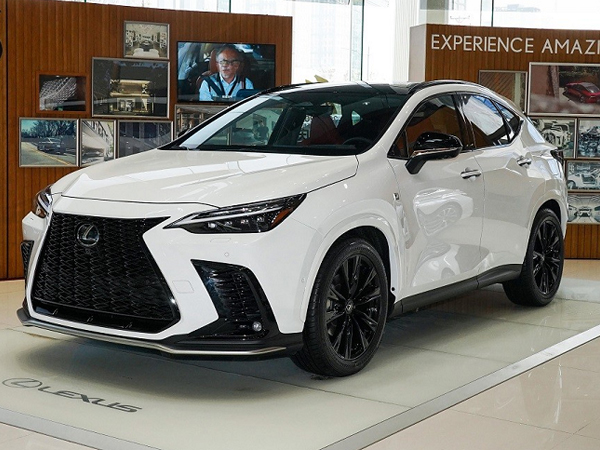 Cận cảnh Lexus NX 400h+ 2022 "uống" chỉ 1,47 lít xăng/100 km