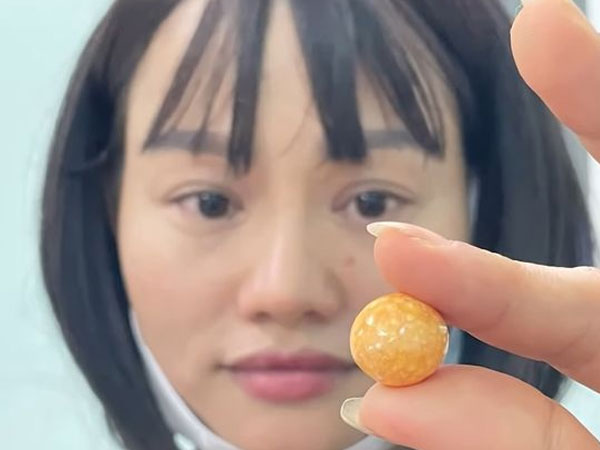Ăn ốc cắn phải ngọc quý, một gia đình ở Vũng Tàu rao bán 8 tỷ đồng