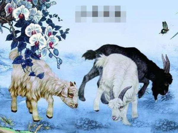 Con giáp sinh ứng vào những tháng âm lịch này thì tiền tài dồi dào, giỏi tiết kiệm tiền