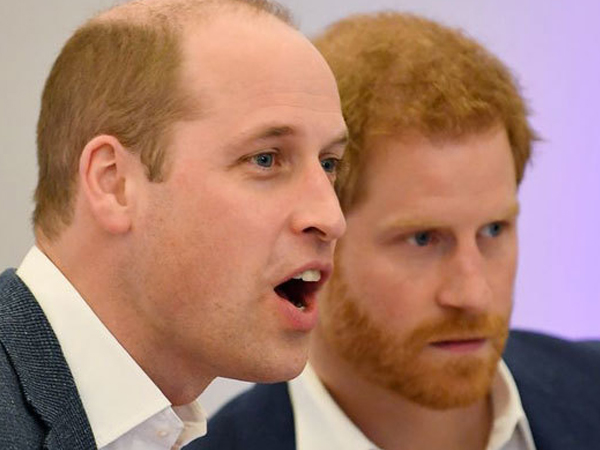 William 'chửi thề' trước tuyên bố rời Hoàng gia của Harry