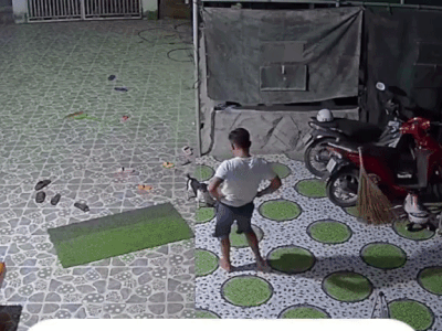 'Giải cứu' chú chó kịp thời từ lò mổ, đôi vợ chồng trung niên còn có màn 'chào mừng' thành viên mới khiến dân mạng thả tim rần rần