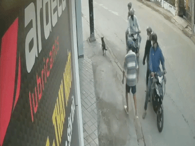 Bức xúc: Bốn thanh niên hệ Exciter dùng súng điện cướp chó ngay trước mặt chủ ở quận 12
