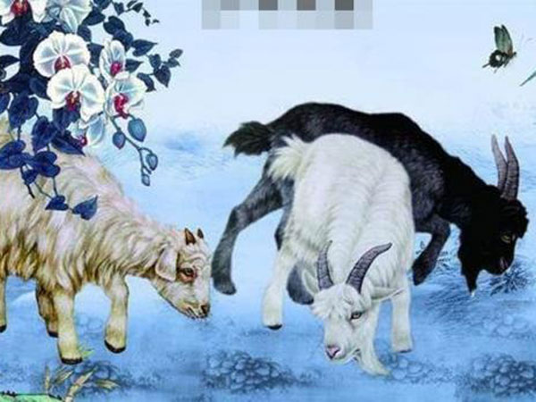 Từ ngày 3/12 đến ngày 19/12, bốn con giáp vận khí hanh thông rực rỡ, may mắn, tài lộc đại phú đại quý