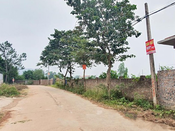 Môi giới liên kết 'kích sóng' đất vùng ven, đất ngoại thành Hà Nội