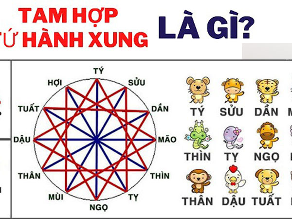 Tam hợp và Tứ hành xung là gì? Đâu là những bộ tuổi xung, tuổi hợp?
