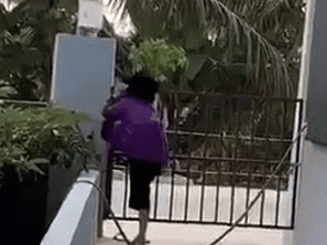 Góc 'gừng càng già càng cay': Cụ bà 100 tuổi bật tường, trèo cổng nhanh thoăn thoắt đi nhận tiền trúng 'lô' gây bão MXH
