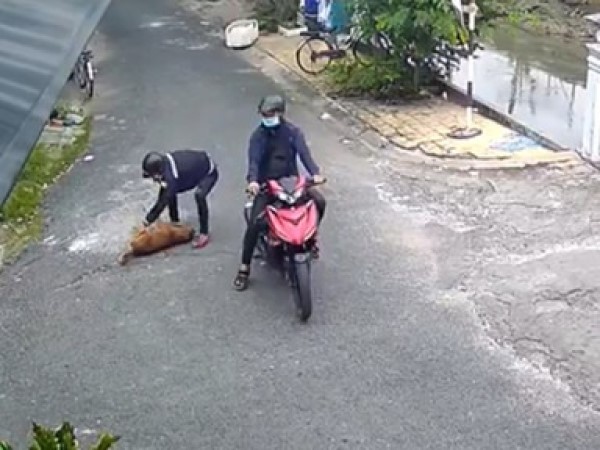 2 thanh niên trộm con chó giữa ban ngày gây bức xúc