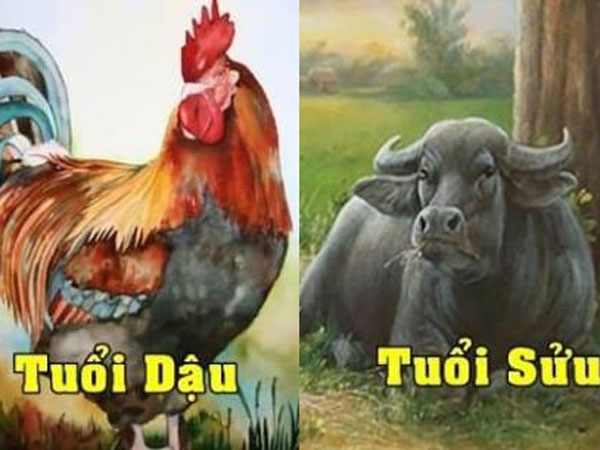 Ảnh bìa bài viết 801575