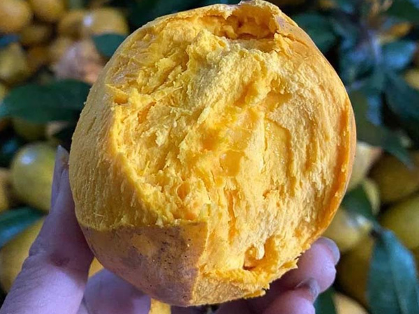 Siêu thực phẩm Amazon bán 1,5 triệu/kg, chợ Việt chỉ 15.000 đồng