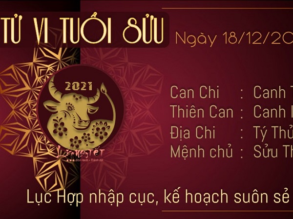 Tử vi Thứ Bảy ngày 18/12/2021 của 12 con giáp: Sửu đón tài lộc, Tị đề phòng tiểu nhân