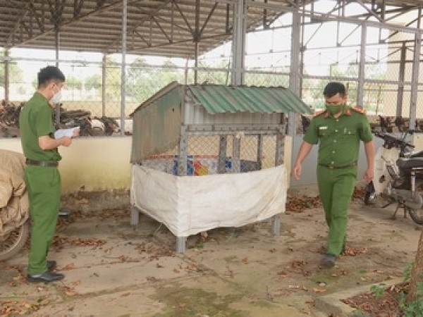 Ảnh bìa bài viết 801989