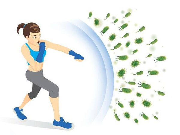 Hinokitiol từ cây tuyết tùng đỏ có tác dụng như thế nào đối với hệ miễn dịch, viêm mũi họng?