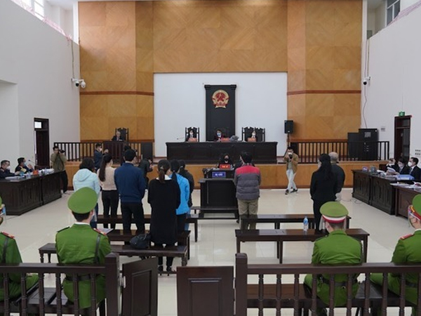 Cựu Hiệu trưởng Trường ĐH Đông Đô lĩnh án 12 năm tù