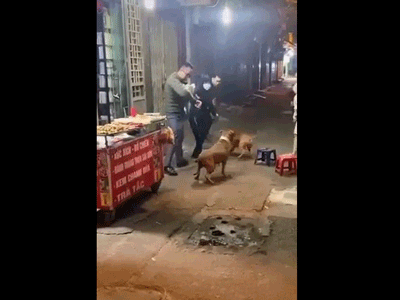 Pitbull điên cuồng tấn công người giữa phố, nguyên nhân được cho là do nhân vật bé nhỏ bế trên tay nạn nhân
