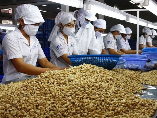 Việt Nam phải nhập gạo, điều, hạt tiêu... con số gây 'choáng'