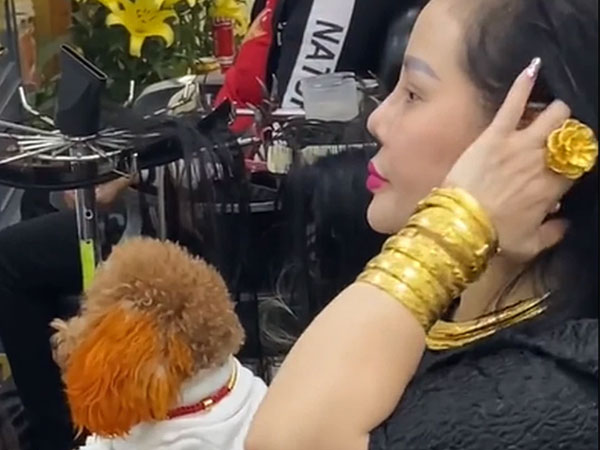 Bà cô tay đầy vàng, chó cưng cũng đeo lắc vàng nổi bật salon tóc, hé lộ sở thích đặc biệt