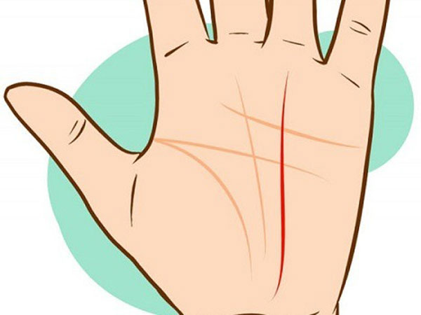 Những đường chỉ tay quan trọng nhất mà ai cũng nên biết để tự coi tướng cho chính mình