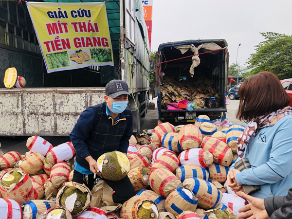 Người dân mua ‘giải cứu’ trái cây miền Tây từ Lạng Sơn về Hà Nội